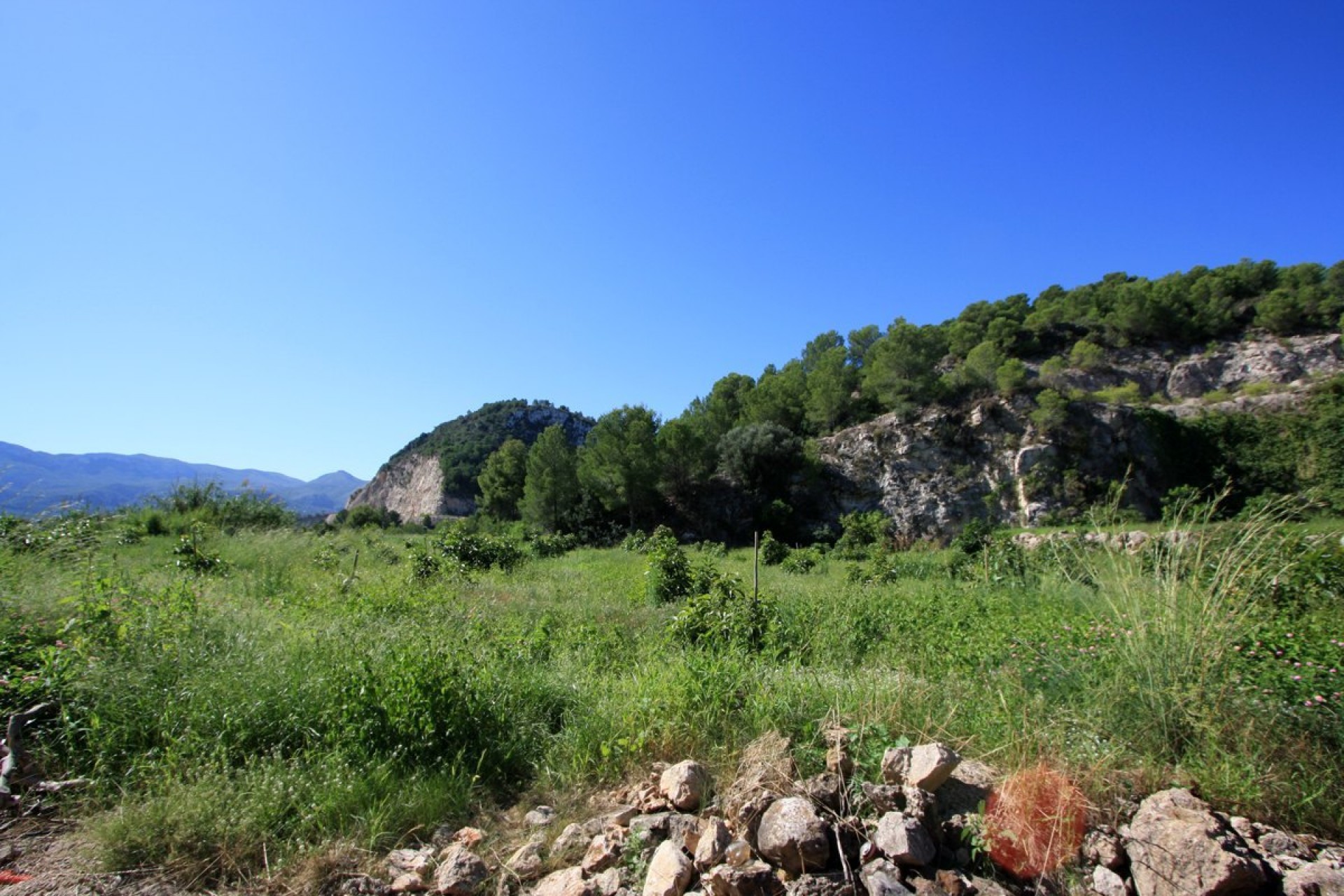 Zu verkaufen - Grundstücke -
Pego