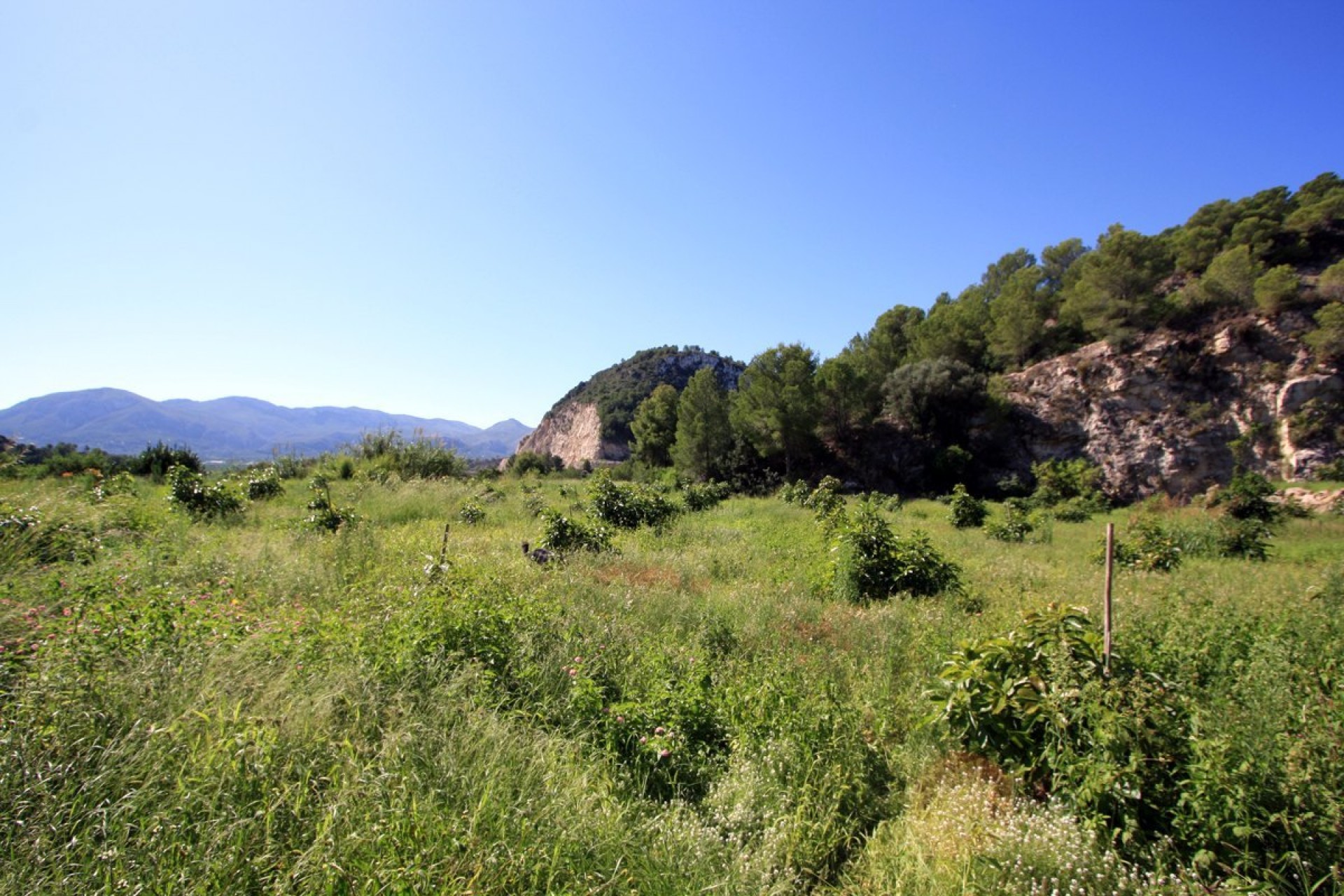 Zu verkaufen - Grundstücke -
Pego
