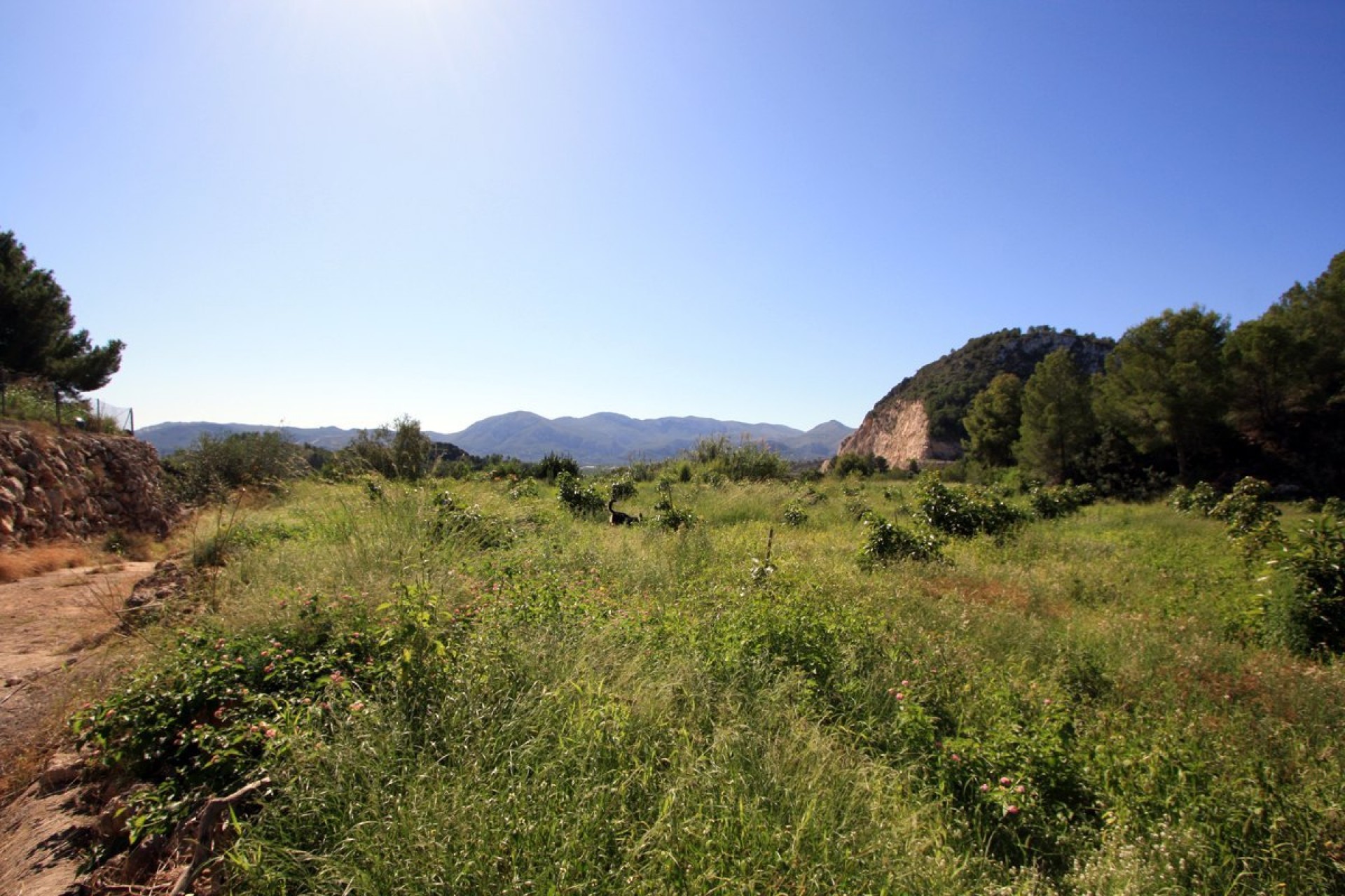 Zu verkaufen - Grundstücke -
Pego
