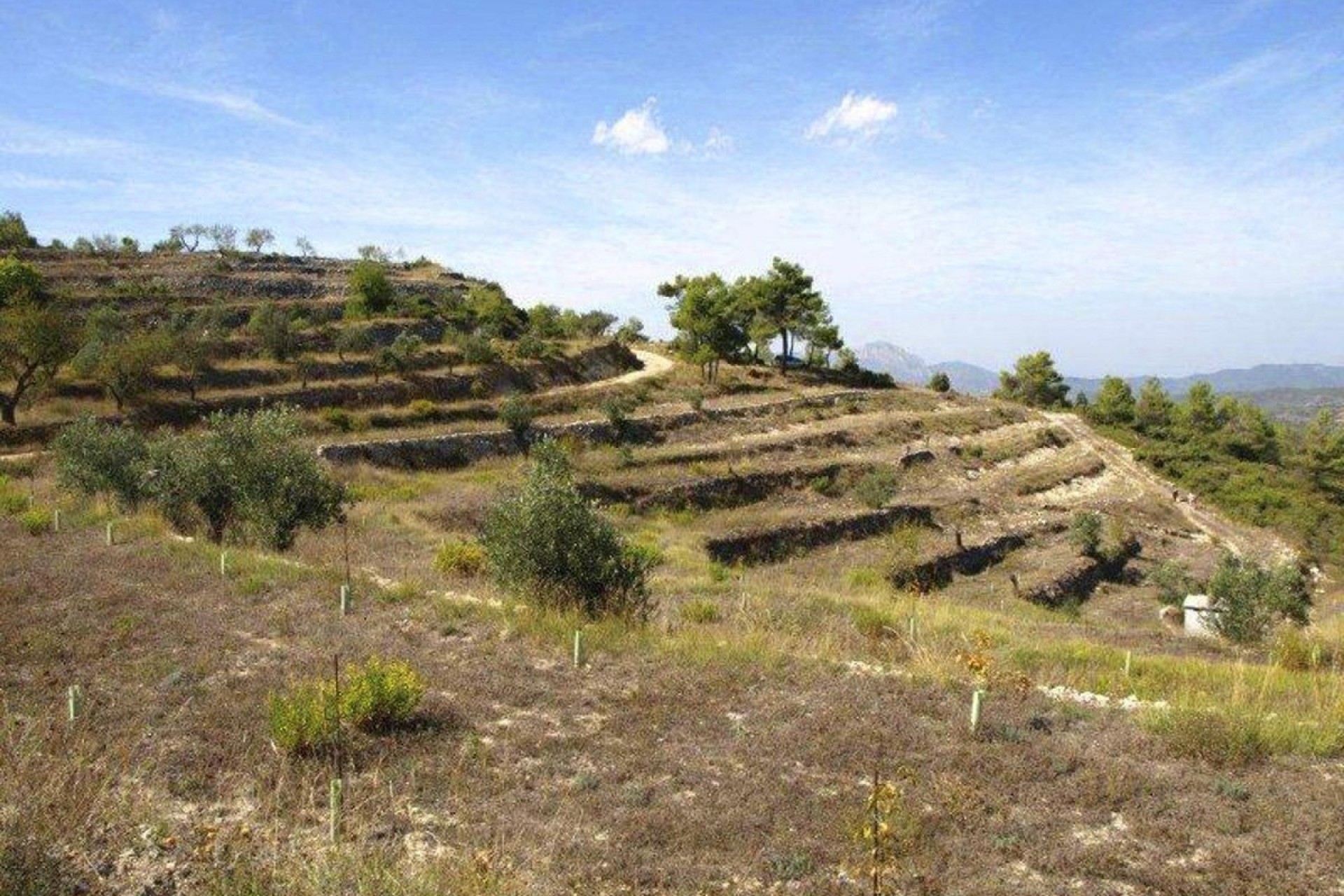 Zu verkaufen - Grundstücke -
Valle de Alcalá - Periferia
