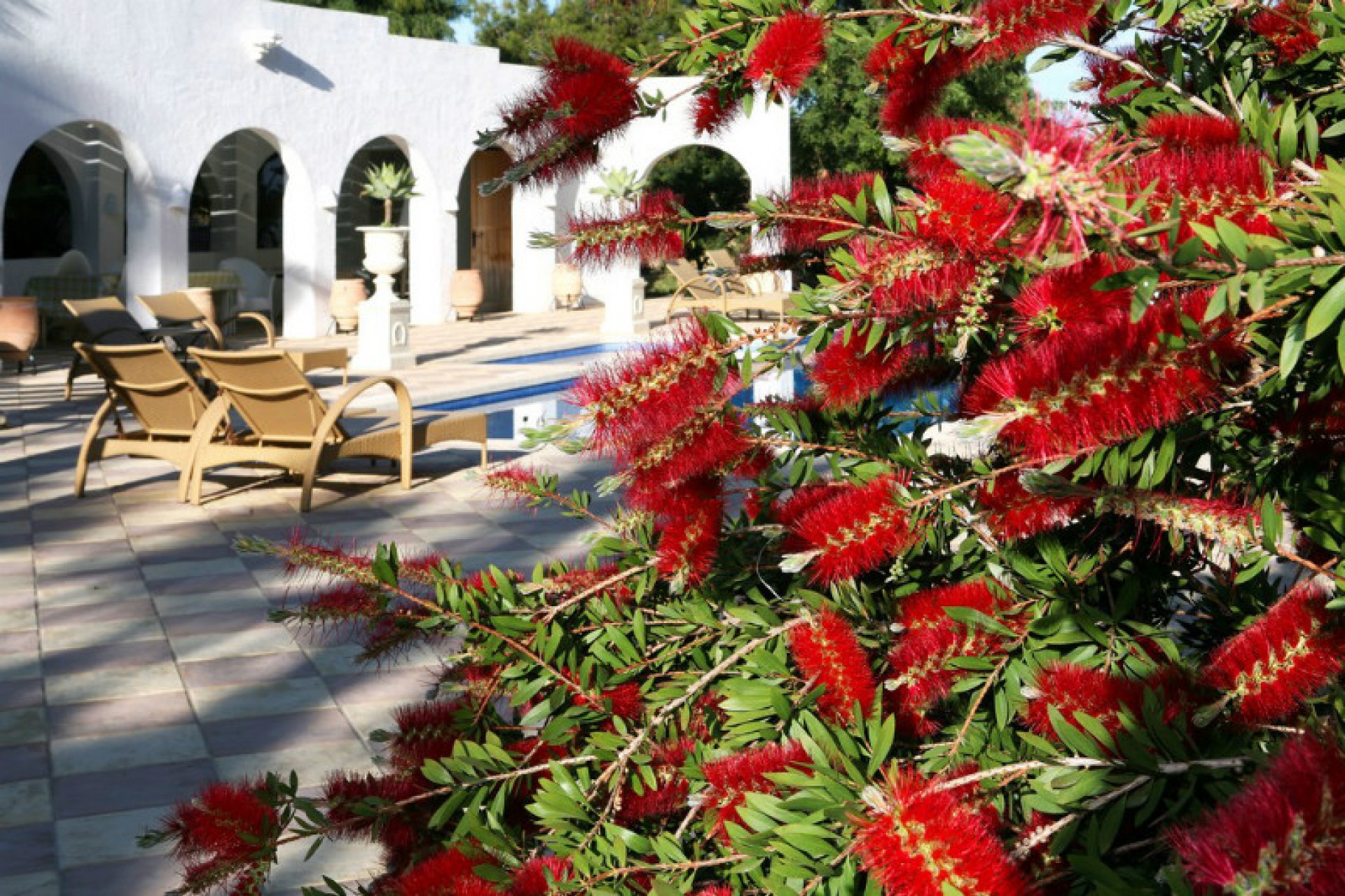 Zu verkaufen - Kommerziell -
Alfaz del Pi