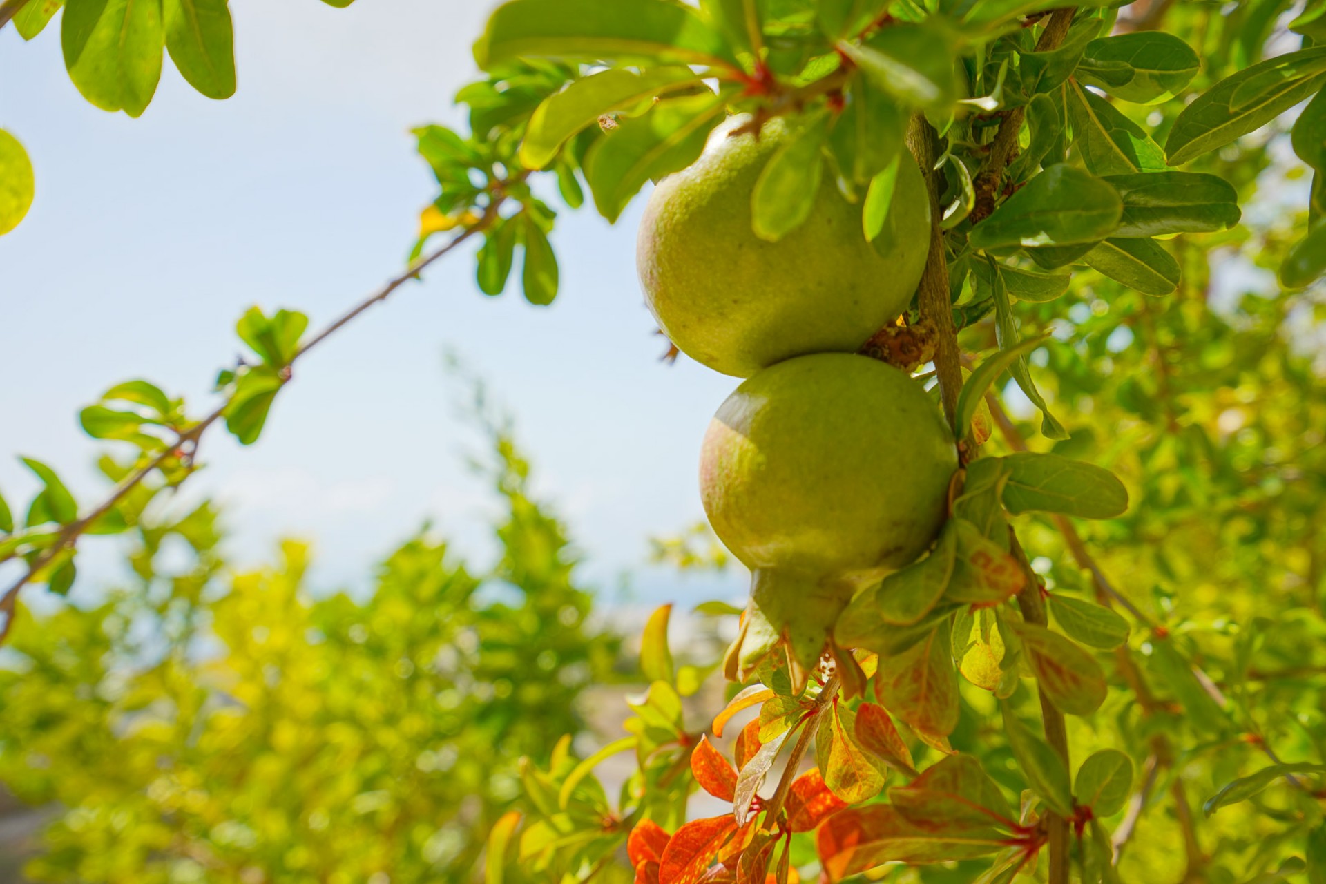 Zu verkaufen - Villa -
Benitachell - Cumbre del Sol