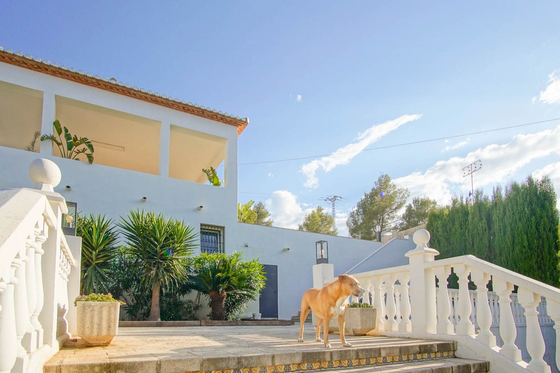 Zu verkaufen - Villa -
Denia