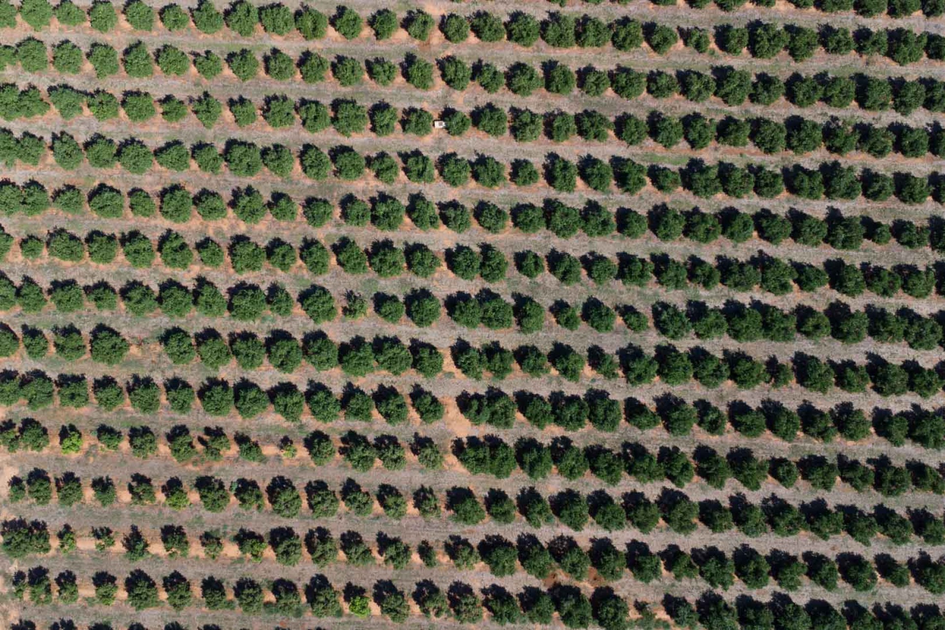 Zu verkaufen - Villa -
Denia