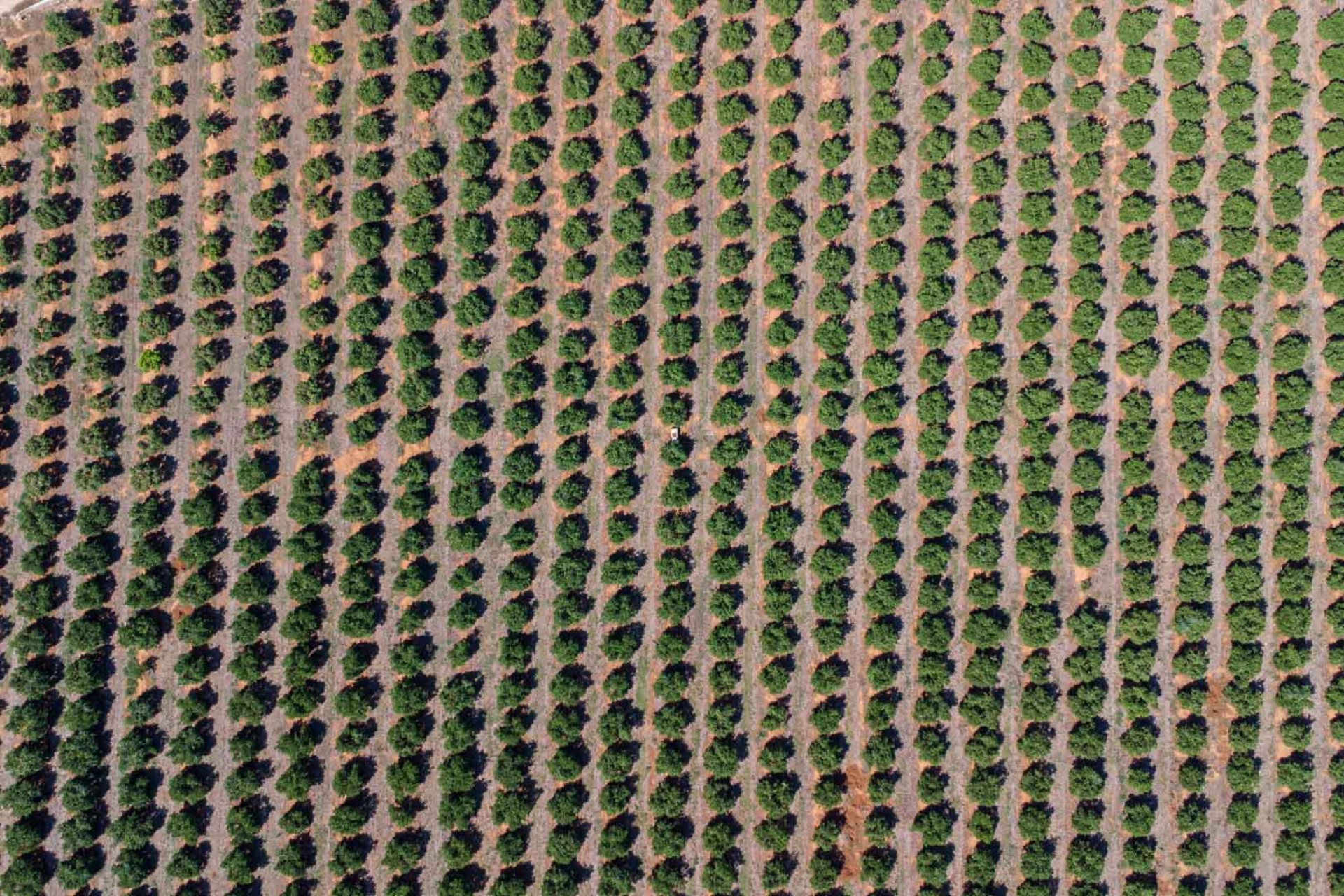 Zu verkaufen - Villa -
Denia