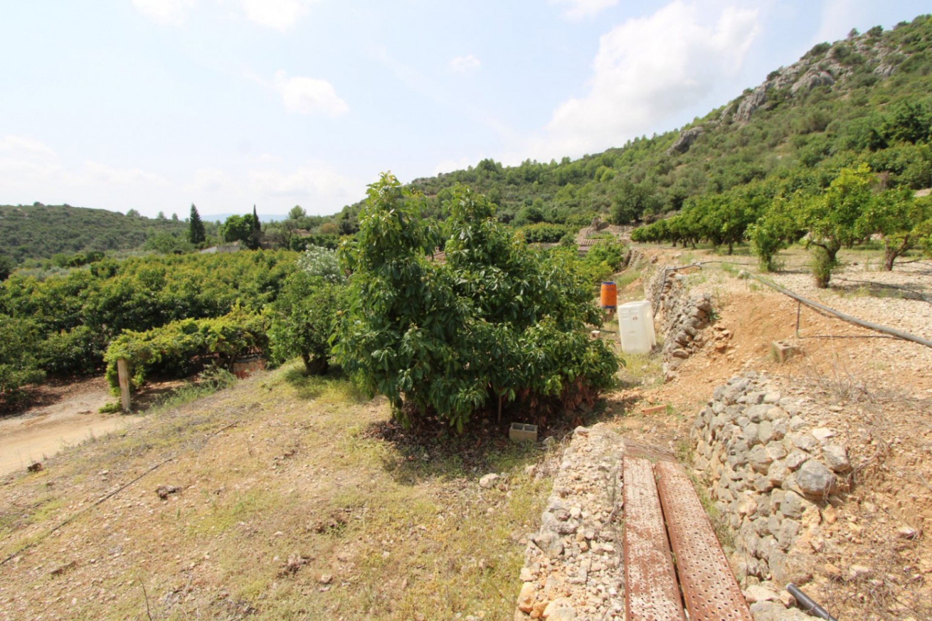 Zu verkaufen - Villa -
El Rafol d'Almunia