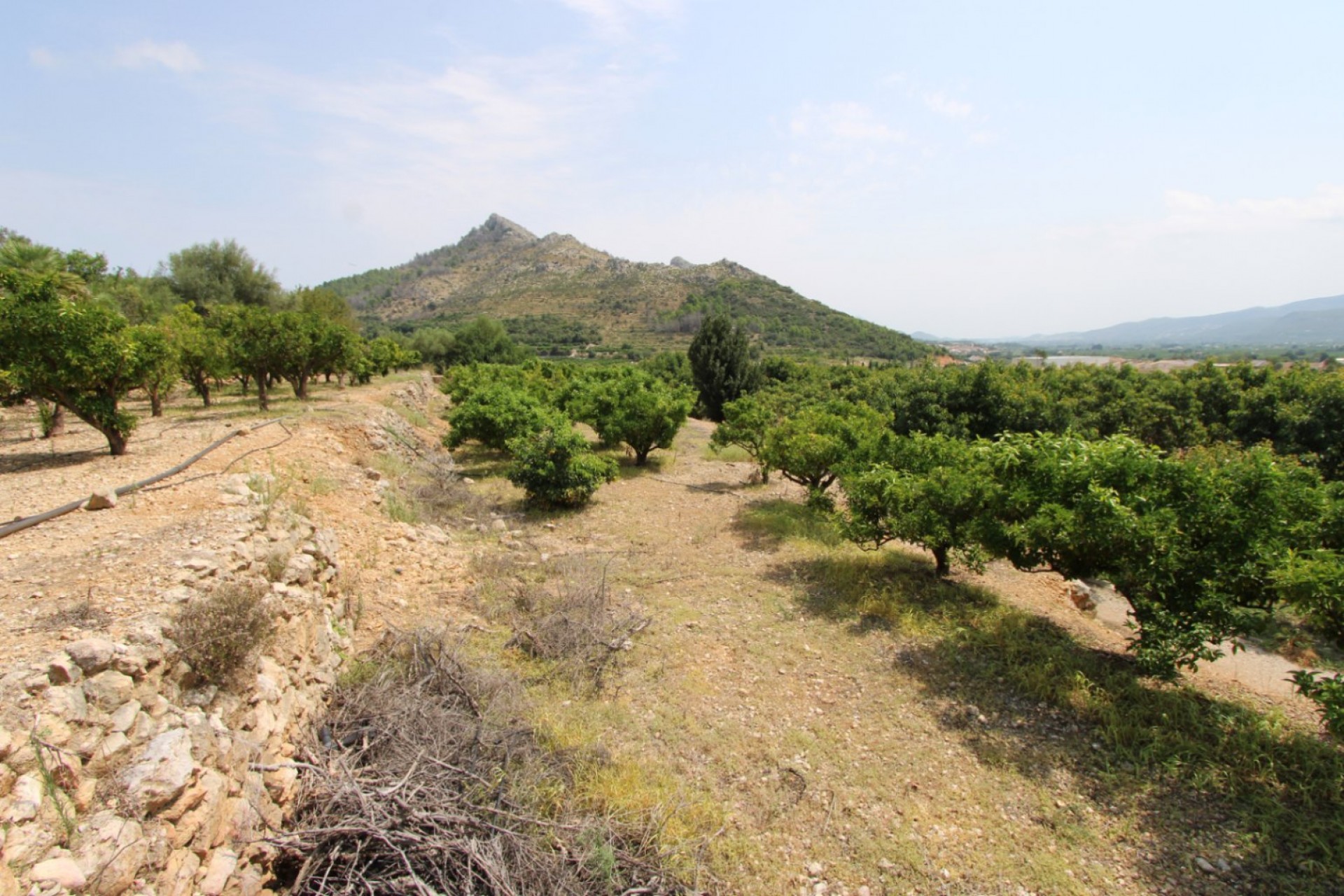 Zu verkaufen - Villa -
El Rafol d'Almunia