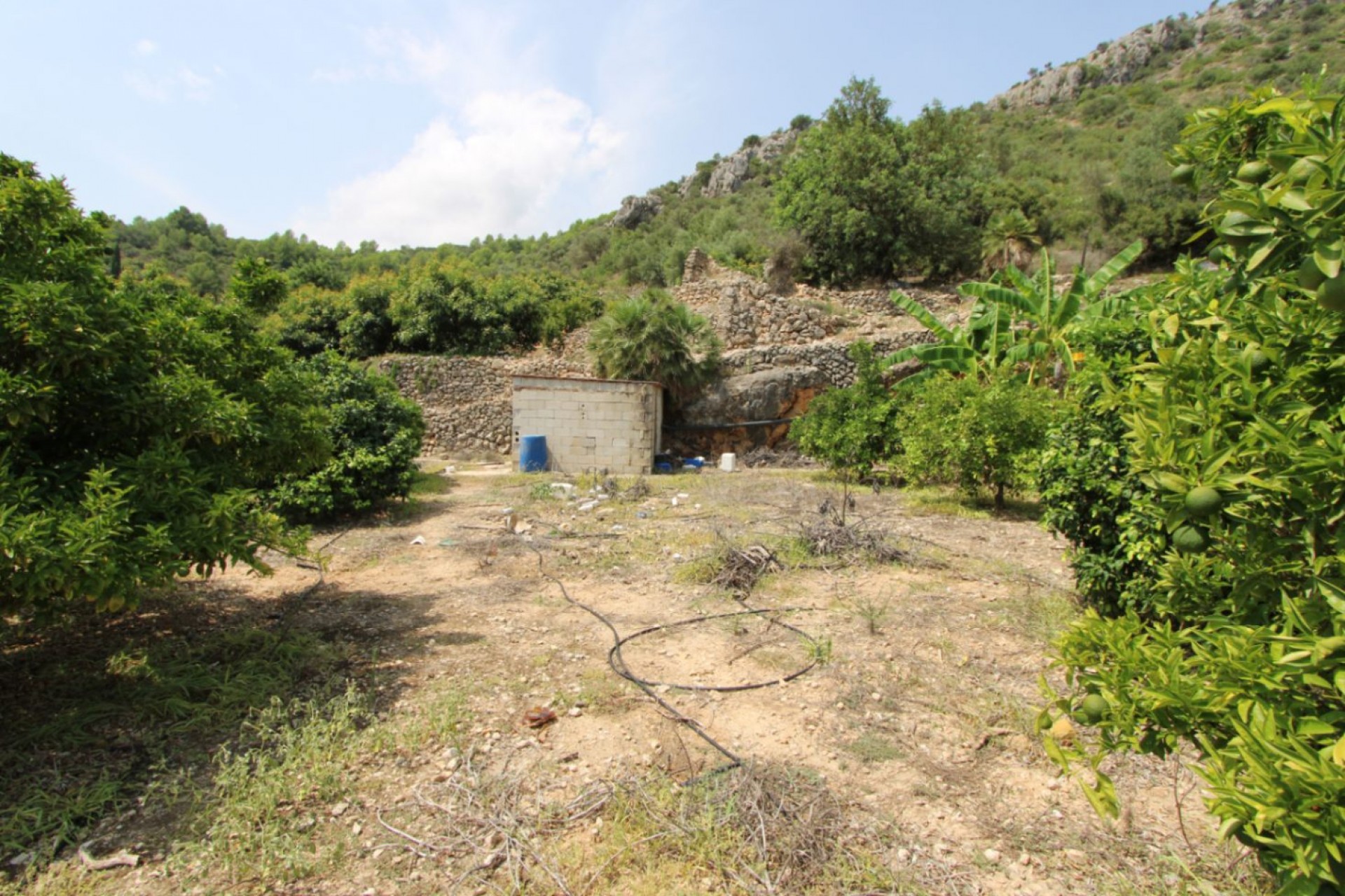 Zu verkaufen - Villa -
El Rafol d'Almunia