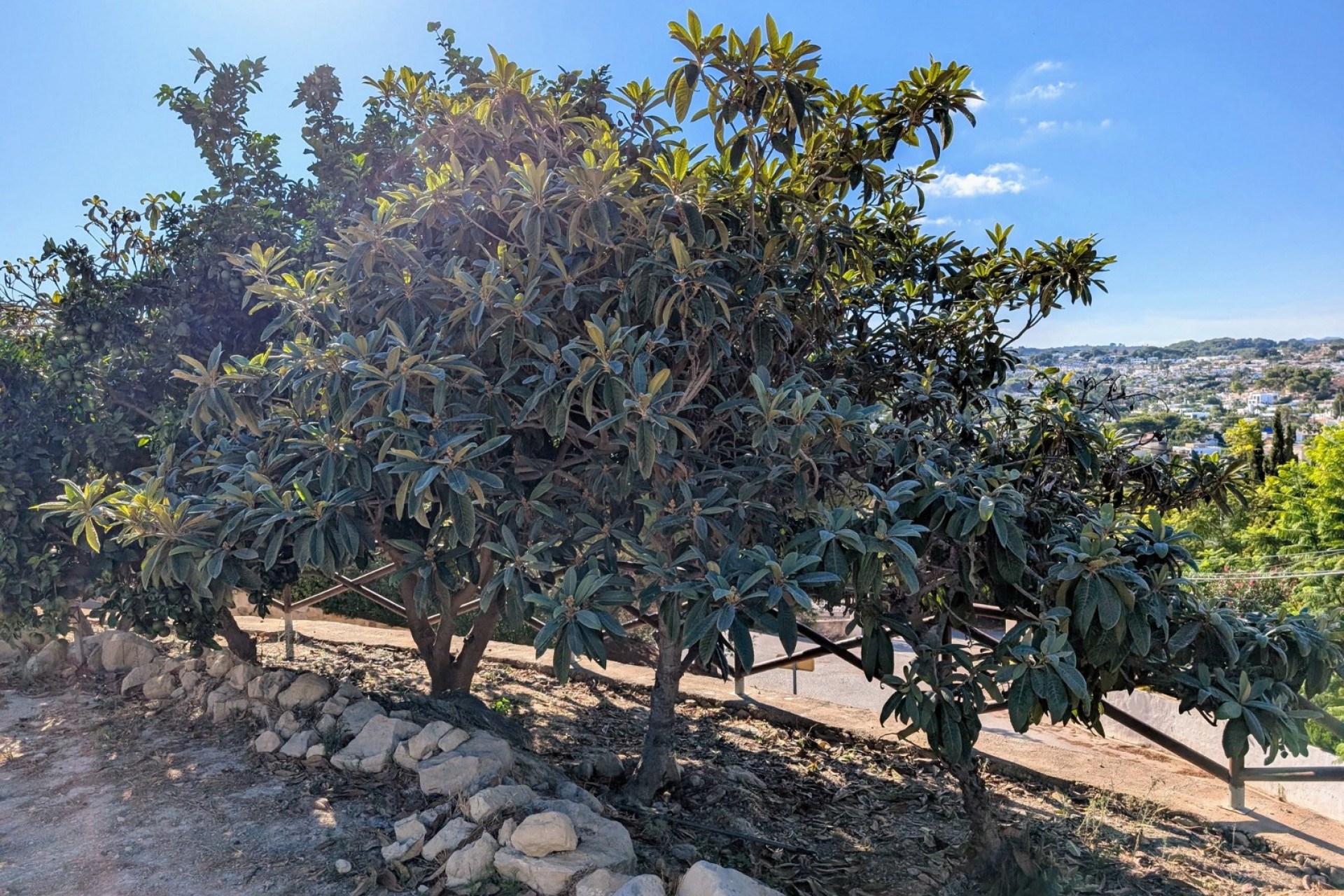 Zu verkaufen - Villa -
Moraira - Paichi