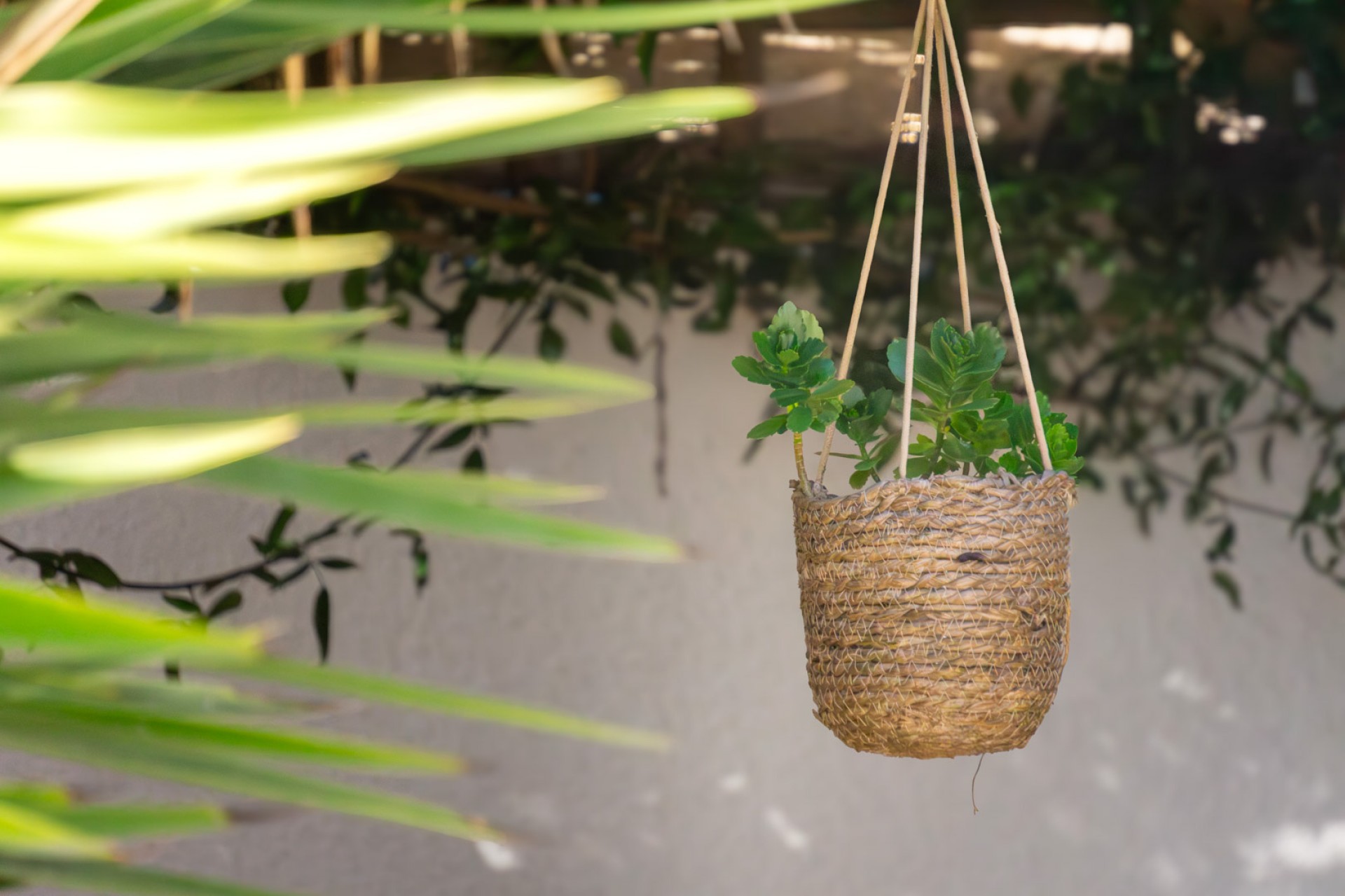 Zu verkaufen - Villa -
Moraira