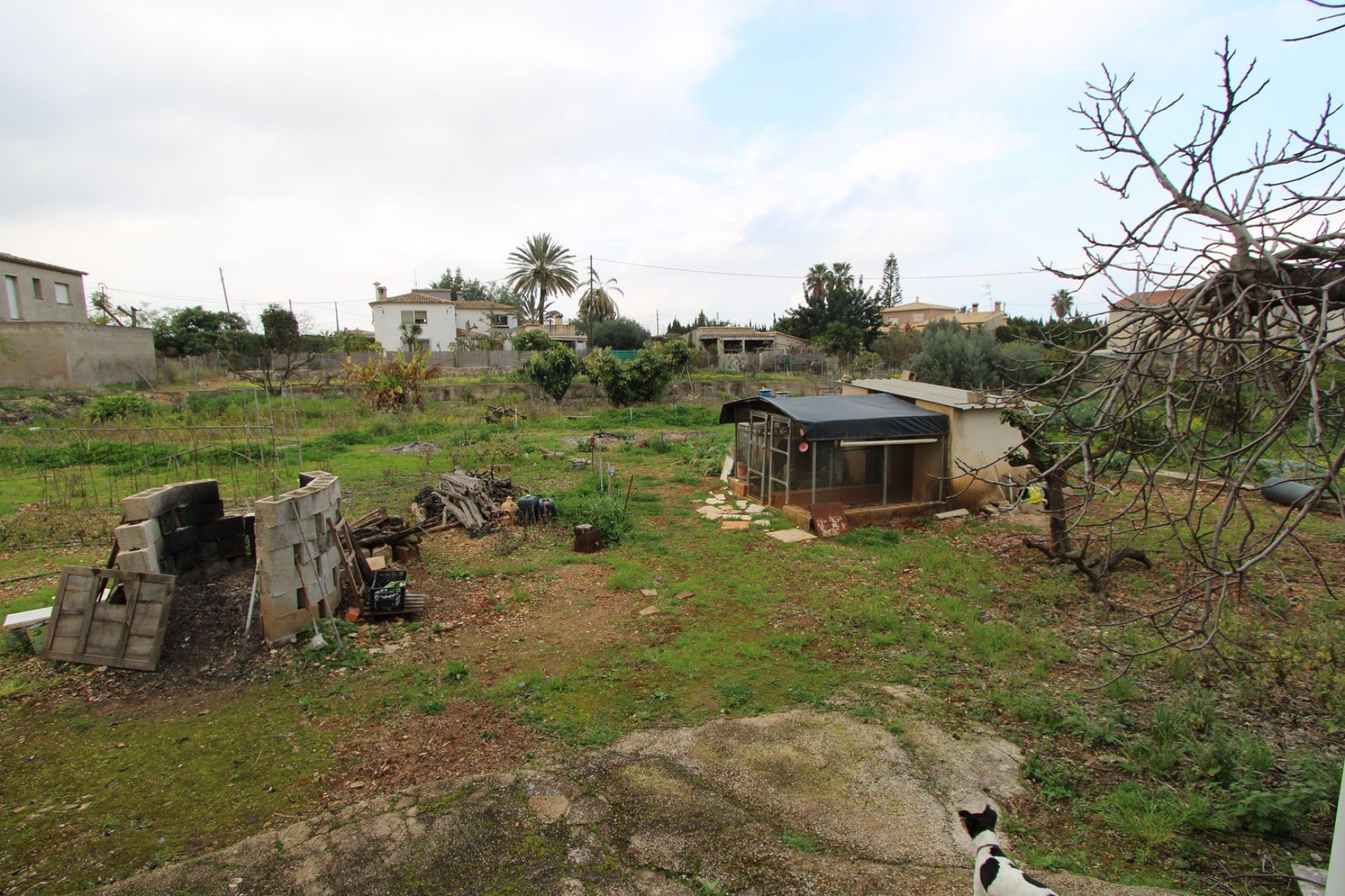 Zu verkaufen - Villa -
Pedreguer