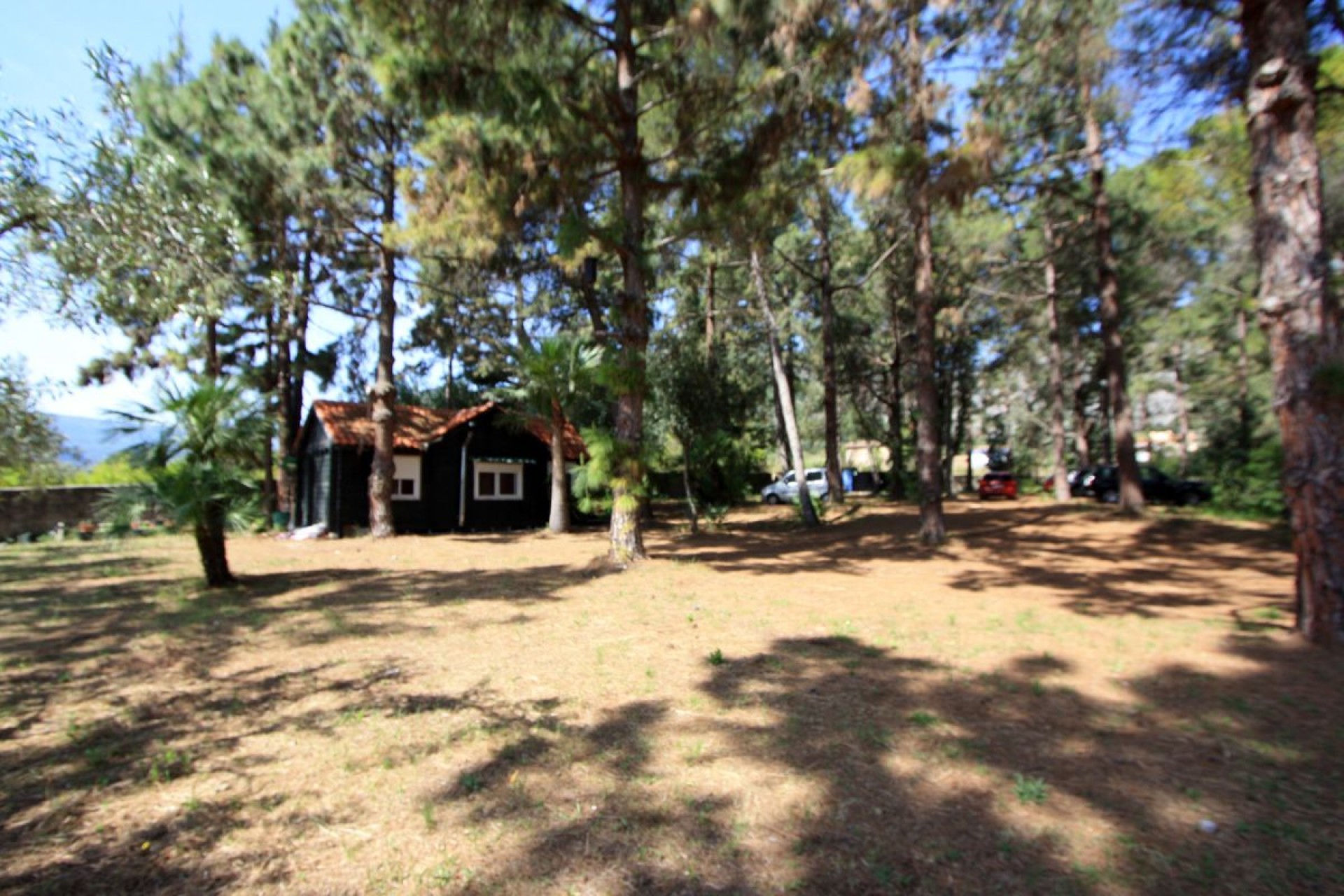 Zu verkaufen - Villa -
Sagra - Casco urbano