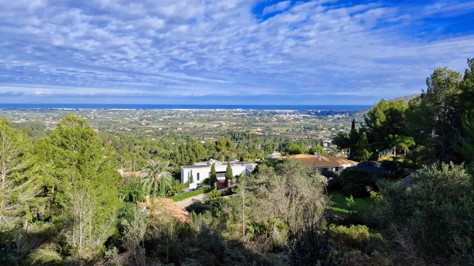 Plot/Land en venta en Pedreguer