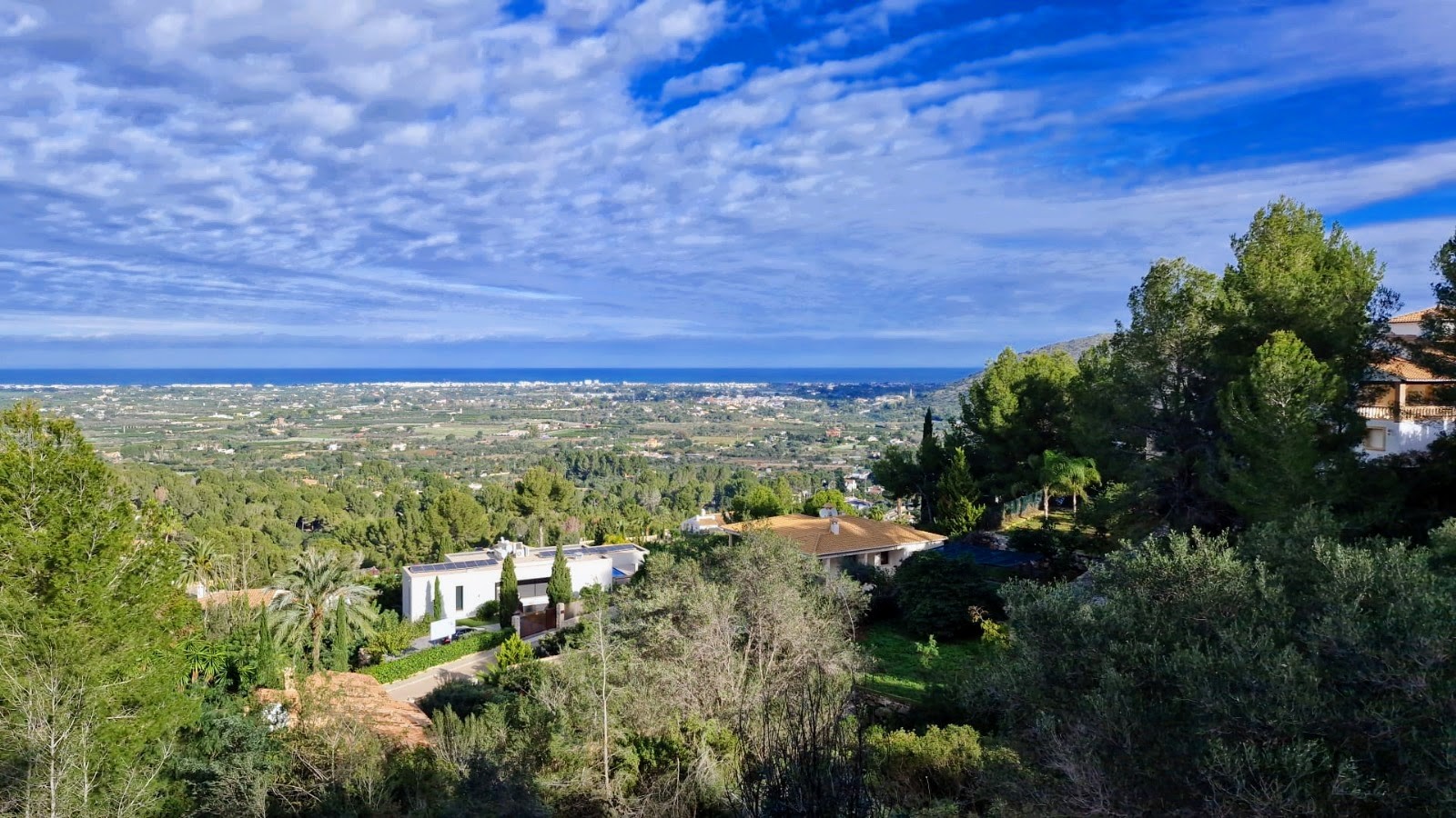 Plot/Land à la vente à Pedreguer