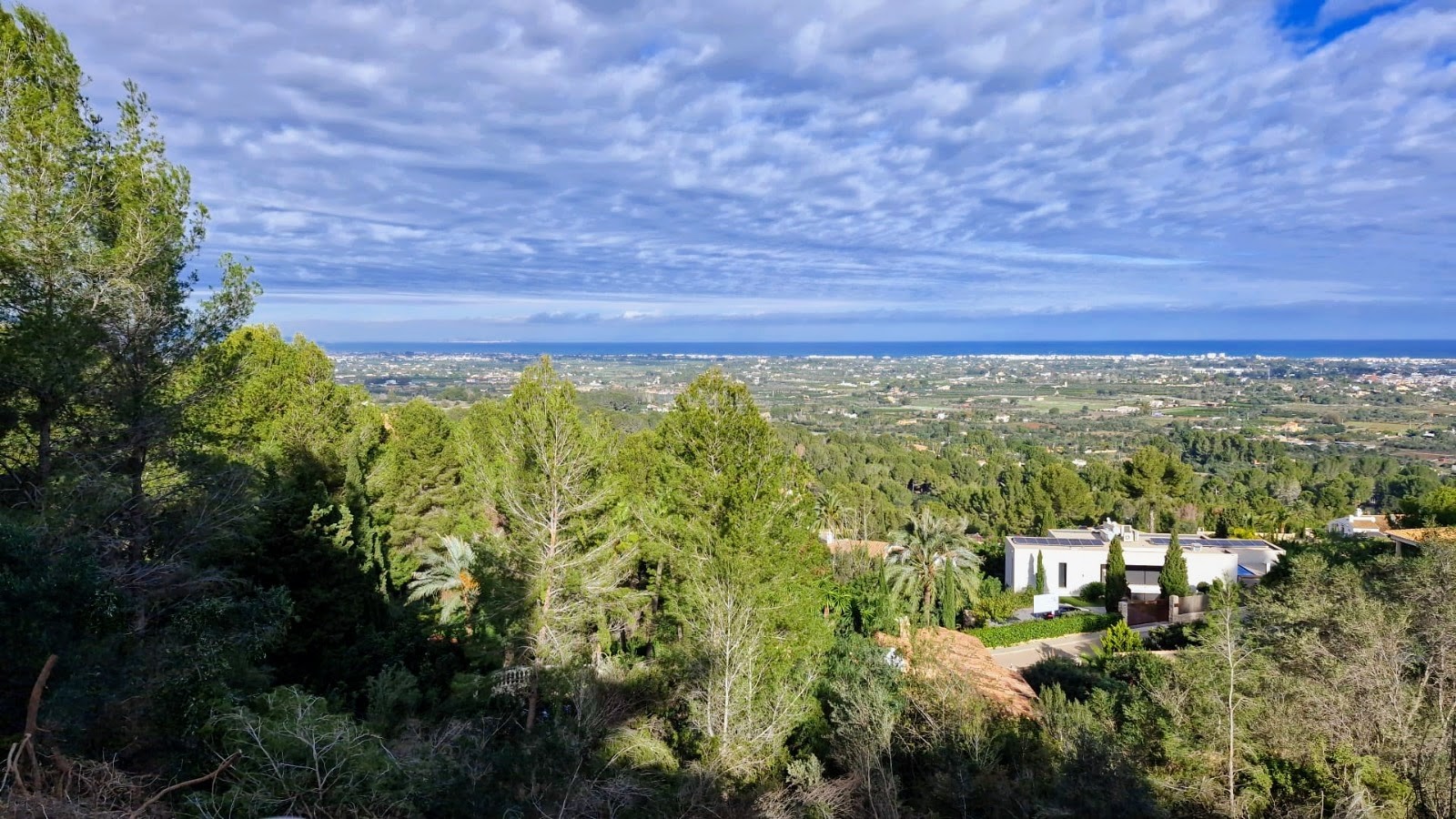 Plot/Land à la vente à Pedreguer